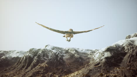 extreme-slow-motion-shot-of-eagle